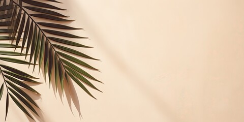 Fototapeta na wymiar Minimalistic palm shadow overlay on textured beige background for modern product display.