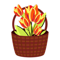 brown basket with tulips hand-painted in a beautiful style on a white background.