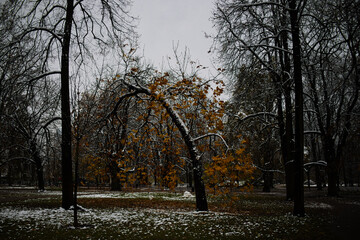 ワルシャワの秋