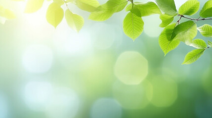 Fototapeta na wymiar Spring background, green tree leaves on blurred background. Ai Generative.