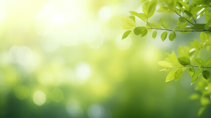 Fototapeta na wymiar Green leaves on a sunny day and bokeh background. Generative AI