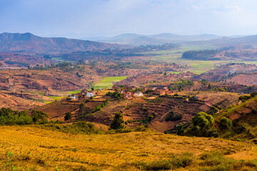 Fototapeta na wymiar Paddy fields of Madagascar seen between Andasibe and Ansirabe, Madagascar