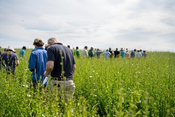 group of farmers doing a crop walk learning about crop health and agronomy from an agricultural agronomist
