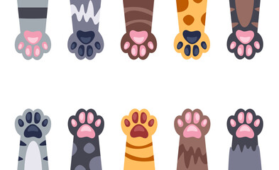 Cat paw animal pet cute kitty concept. Vector flat graphic design illustration © PrettyVectors