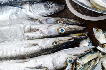 Sea food fresh fish in market