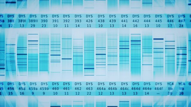 
DNA Sequence Data Animation showing Genetic Information. Deoxyribonucleic Acid Genetic Map and Genome Sequence Analyze. 
