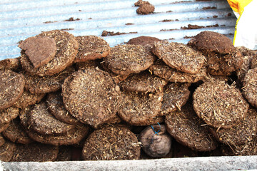 Pile of dung cake. Collection of cow and buffalo dunk cake. Also known as kande and uple in India. 