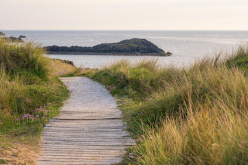 A path, leading through grassy sand dunes overlooking the ocean. it is evening and the scene is...