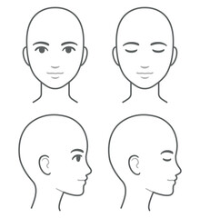 Woman face and head profile diagram (without hair), eyes open and closed. Blank female head template for medical infographic. Isolated vector illustration.
