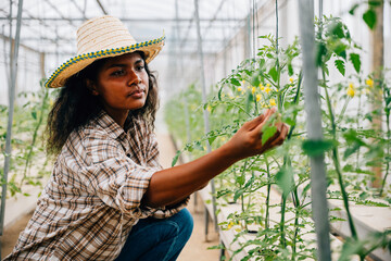 Quality control in a technological greenhouse by a black woman agronomist. Joyful farmer using a...