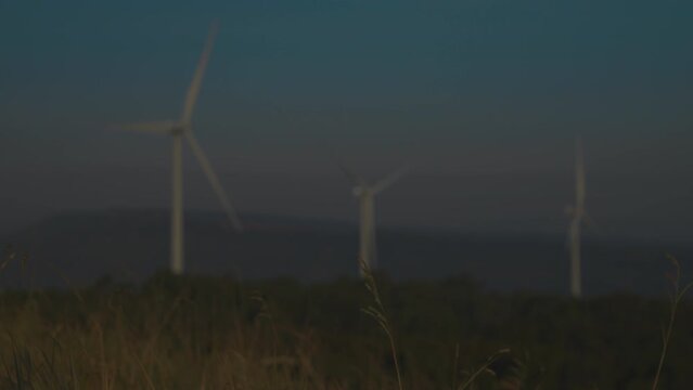 Wind turbines rise beyond tall grass under hazy blue sky, slender white blades turning across distant landscape, blending renewable energy with quiet rural scenery.