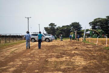 farmer in a cropping field. farming in a cropping field growing grain and cereals