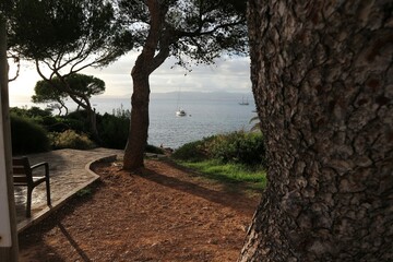 Park wśród drzew z widokiem na morze © Saimooon