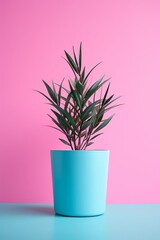 Playful Pink: Plant in a Pink Container Against Contrasting Background