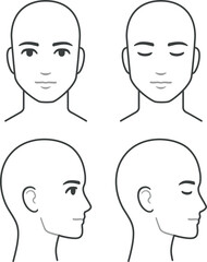 Man face and head profile diagram (without hair), eyes open and closed. Blank male head template for medical infographic. Isolated illustration.
