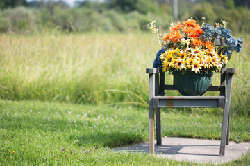 Flower Pot and Chair