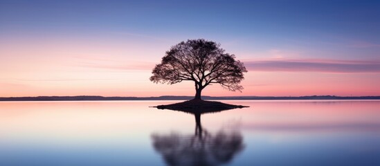 Fototapeta na wymiar Solitary tree outline on lake shore at dusk.