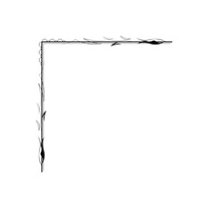 Hand Draw Corner Shapes Flower Decoration Vector Design Doodle Sketch Style For Wedding And Banner