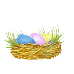 Easter illustration hand drawn in watercolor with a nest and Easter eggs decorated with spring grass. Picture for a postcard