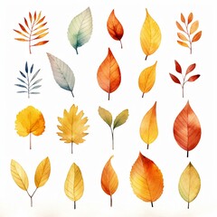 Obraz premium watercolor leaf pattern