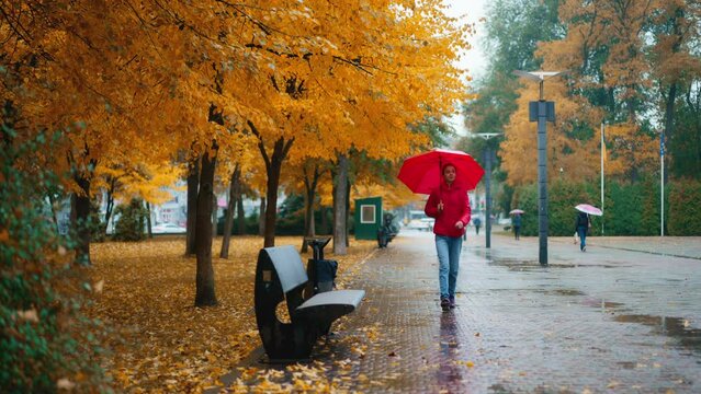 Woman hiding under red umbrella walking alone under the rain in orange city park in the rainy day. Slow motion shot. fall season and urban lifestyle