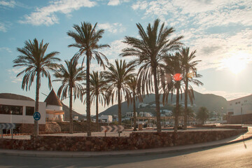 Palmeras en la Plaza Joan Hugo en la calle Hélice de Las Negras, Almería, España. Palmeras...