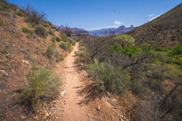 hiking the tonto trail in the grand canyon national park, arizona, usa