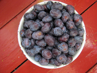 plums, iron bowl with blue plums on a red floor
