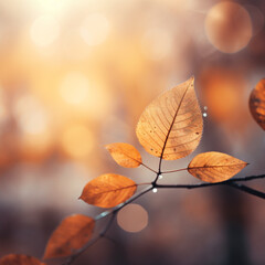 Tranquil Autumn: Colorful Close-up of Yellow and Orange Foliage in Sunlight