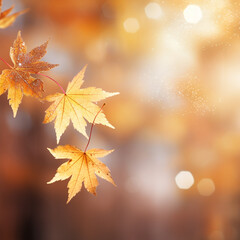 Tranquil Autumn: Colorful Close-up of Yellow and Orange Foliage in Sunlight
