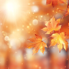 Naklejka na ściany i meble Tranquil Autumn: Colorful Close-up of Yellow and Orange Foliage in Sunlight