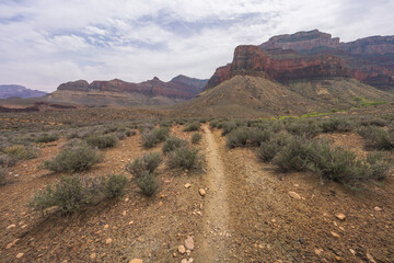 hiking the tonto trail in the grand canyon national park, arizona, usa