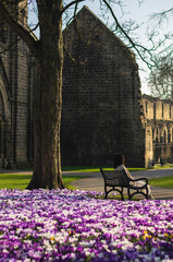 Woman sitiing on a bench during sunset on a summer day with voilet and white flowers behind her 