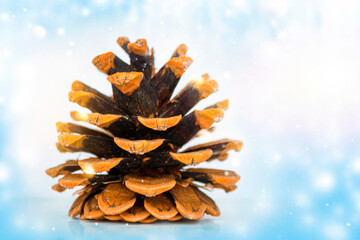 Pine cone. nature. Beautiful landscape with snow covered fir trees and snowdrifts.Merry Christmas and happy New Year greeting background.