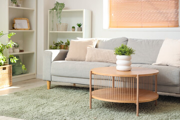 Interior of light living room with grey sofa, table and houseplants
