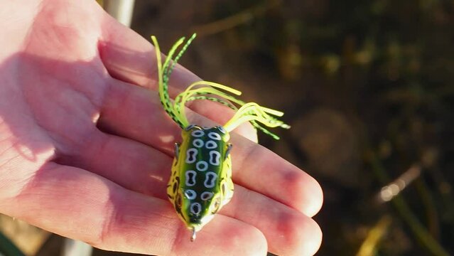 Rubber bait for catching fish in the shape of a frog