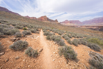 hiking the tonto trail in the grand canyon national park, arizona, usa
