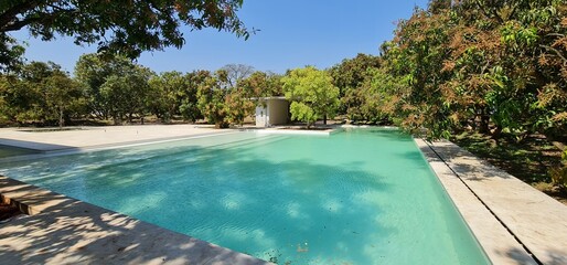 Serene swimming pool surrounded by blossoming mango trees