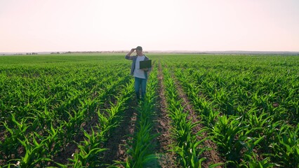 Agronomist on farm, Modern digital technologies. Farmer man in corn field works with computer, Business Farm. Agriculture Business concept. Farmer with laptop in green corn field. Businessman works