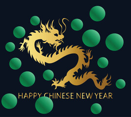 DRAGON HAPPY CHINESE NEW YEAR vector illustration
