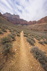 hiking the tonto trail in the grand canyon national park, arizona, usa