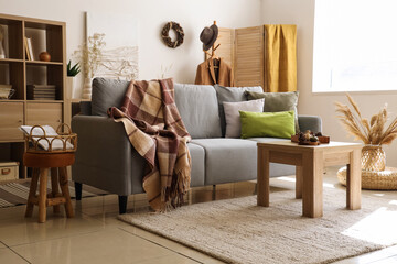 Interior of modern living room with grey sofa, warm blanket and pine cones on coffee table