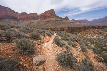 hiking the tonto trail in the grand canyon national park, arizona, usa