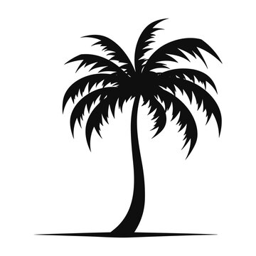 A Palm tree vector isolated on a white background, Tropical palm tree Silhouette