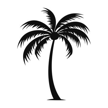 A Palm tree vector isolated on a white background, Tropical palm tree Silhouette