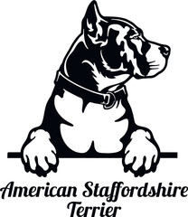 American Staffordshire Terrier - Color Peeking Dogs - breed face head isolated on white