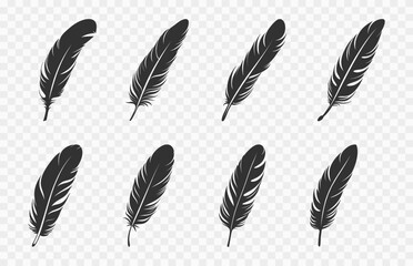 Bird Feather Silhouettes Vector Set, Feathers black Silhouette bundle, detailed majestic feather