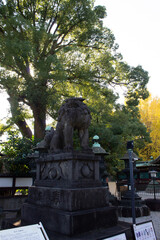 Obraz premium Leones Fu, perros guardianes templos y santuarios japoneses, Japón