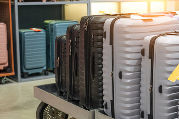 Suitcases of simple colors on showcase at an exhibition in a store.