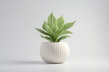 A white vase with a green plant. Can be used for home decor or as a symbol of growth and nature